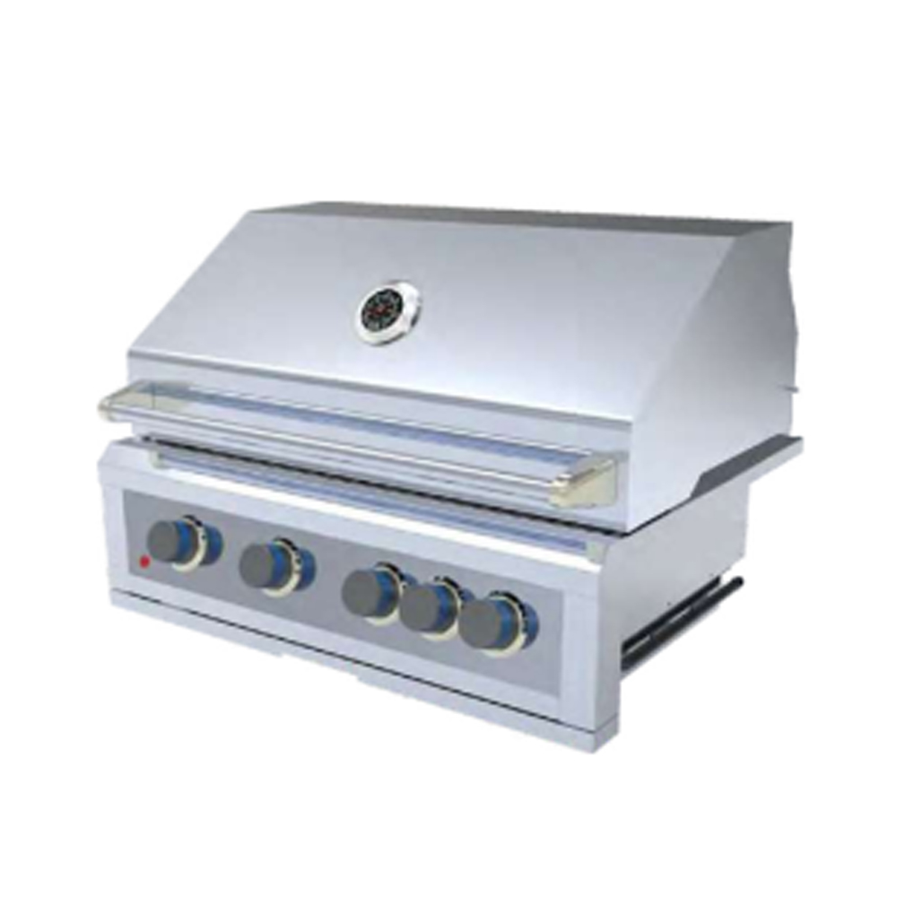 B003-401 BuiltHIn Gas Gril